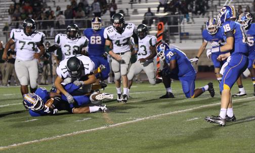Tigers Tough it Out