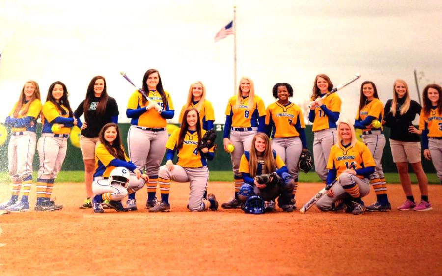 2015+Tiger+Softball+Team