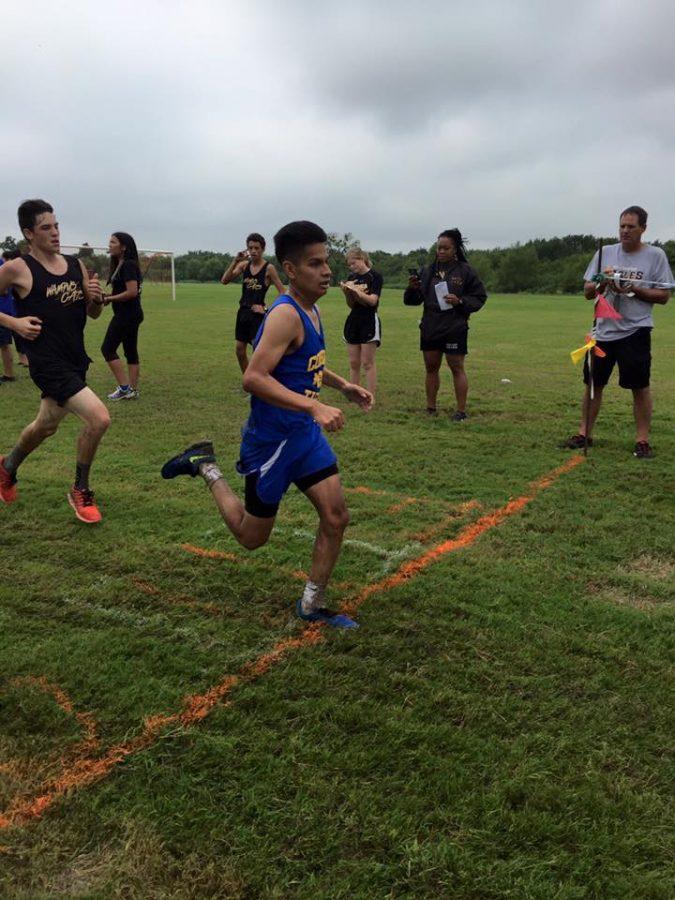 Cross+Country+is+one+hill+of+a+sport