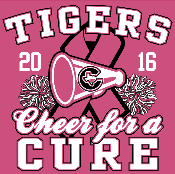 Tiger Cheer Clinic