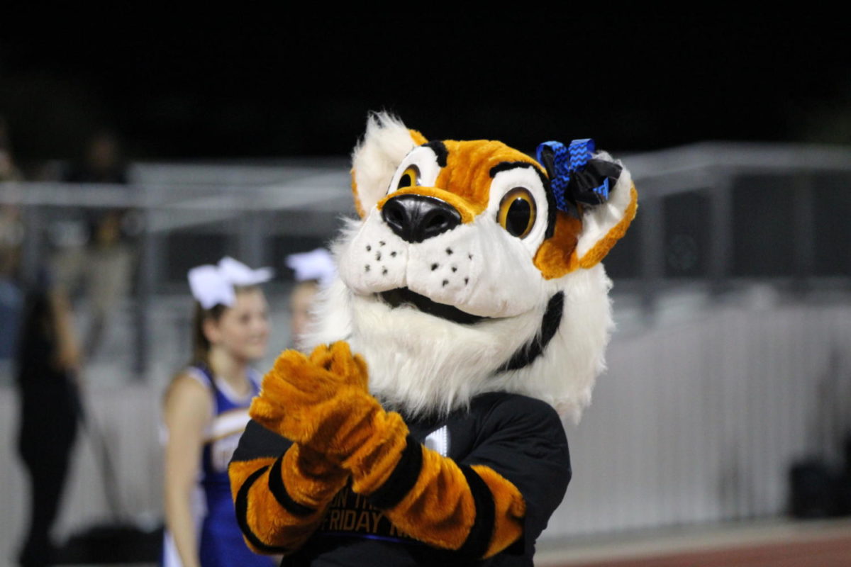 Tigers!