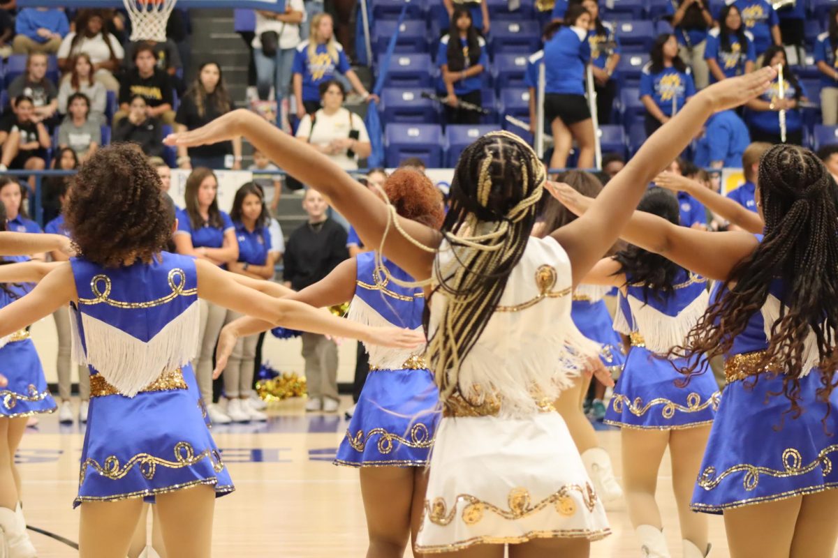The calicos giving it their all!